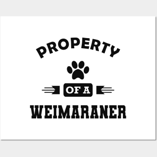Weimaraner Dog - Property of a weimaraner Posters and Art